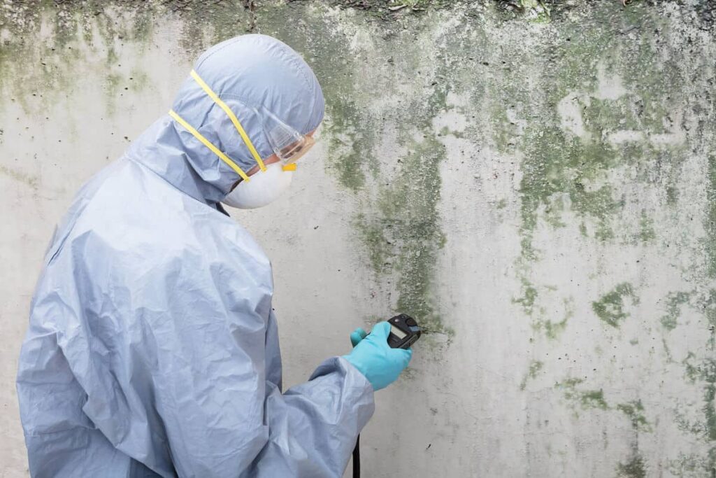 a person is inspecting mold on a wall.