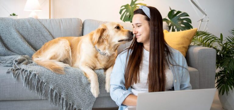 a lady working on a laptop and a cute dog sitting on sofa besides her.