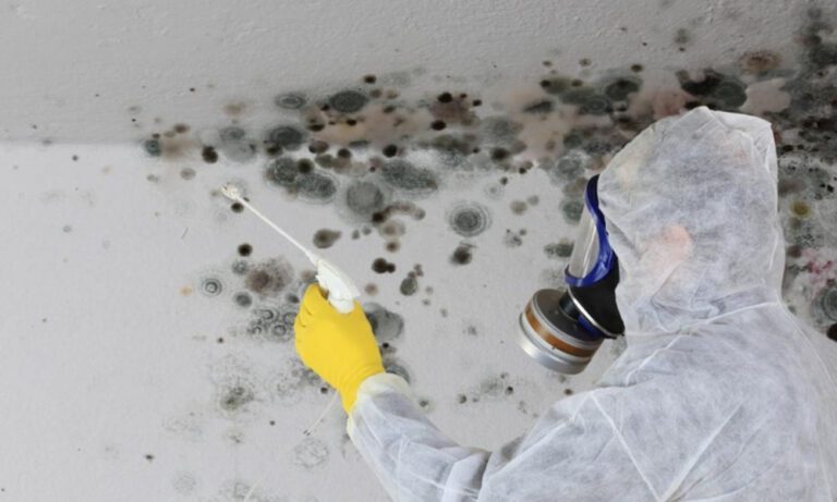 An individual, clad in protective gear and a mask, diligently removing mold from a wall.