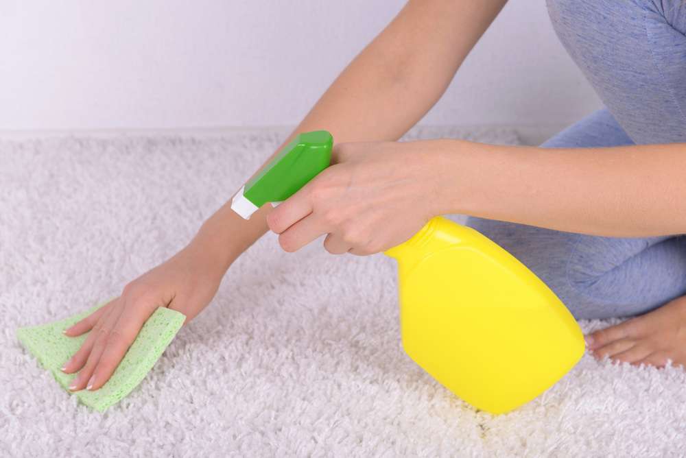 a person holding a scrub and shower in hand and cleaning carpet.