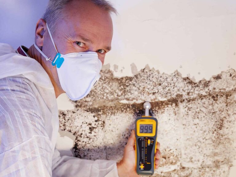 a person is inspecting mold on wall and showing meter reading.