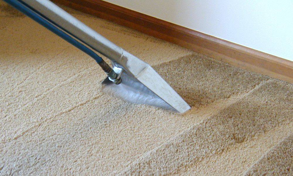 carpet cleaning in progress with vacuum cleaner