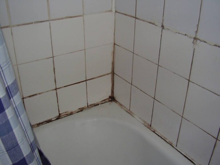 mold in bathroom corner