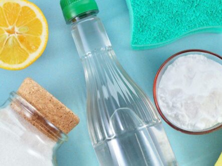 Ingredients in your home for reducing odors