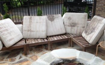 mold on lawn furniture