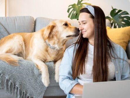 a lady working on a laptop and a cute dog sitting on sofa besides her.